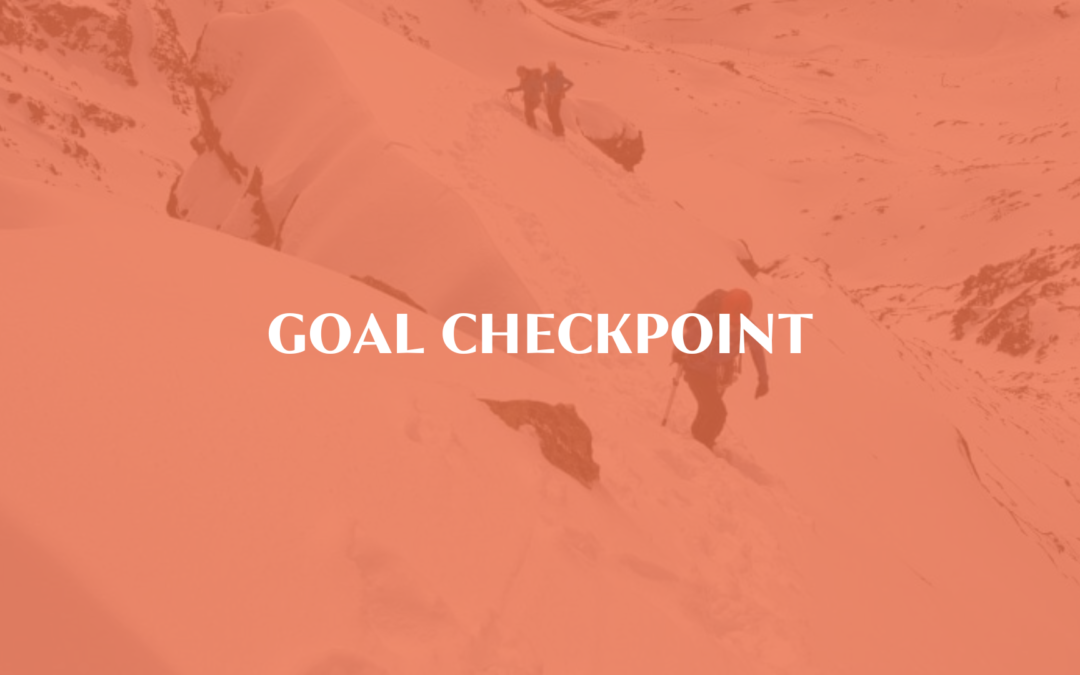 Goal Checkpoint