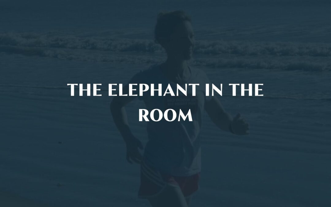 The Elephant in the room